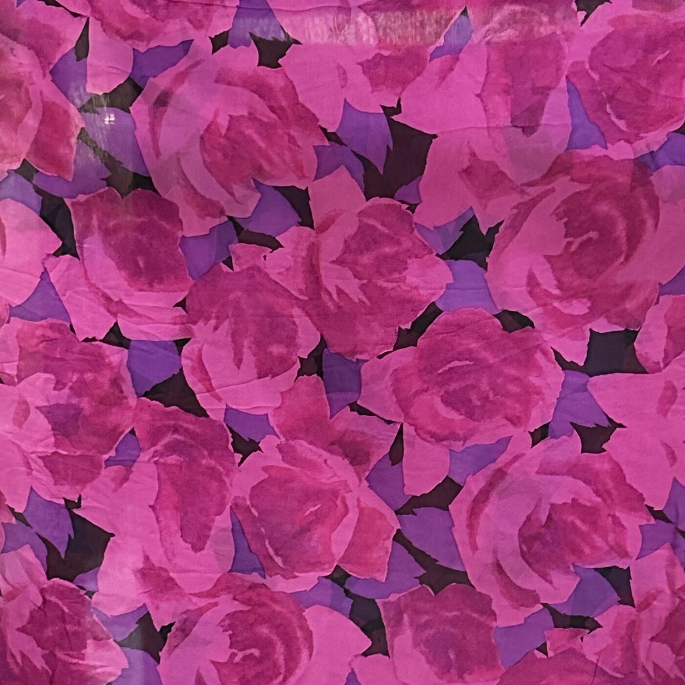 Fuchsia Fever